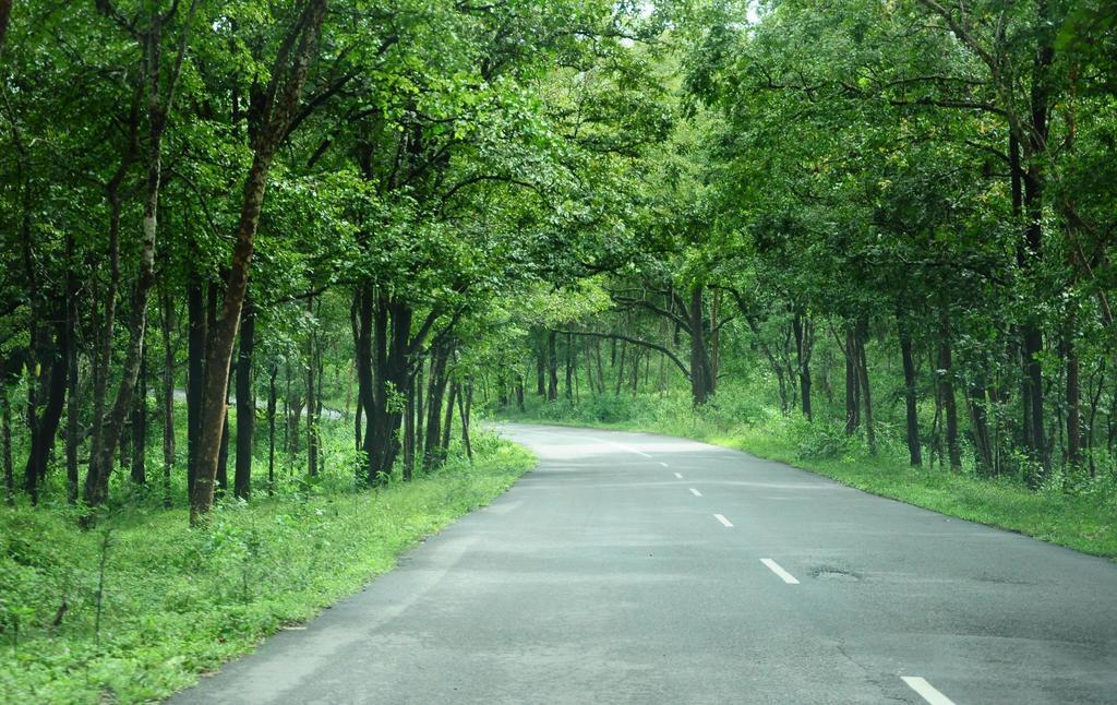 Marg Stream Valley Vythiri Ngoại thất bức ảnh