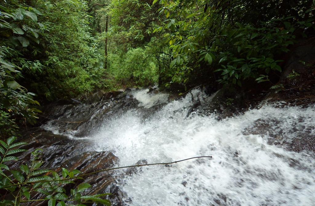 Marg Stream Valley Vythiri Ngoại thất bức ảnh