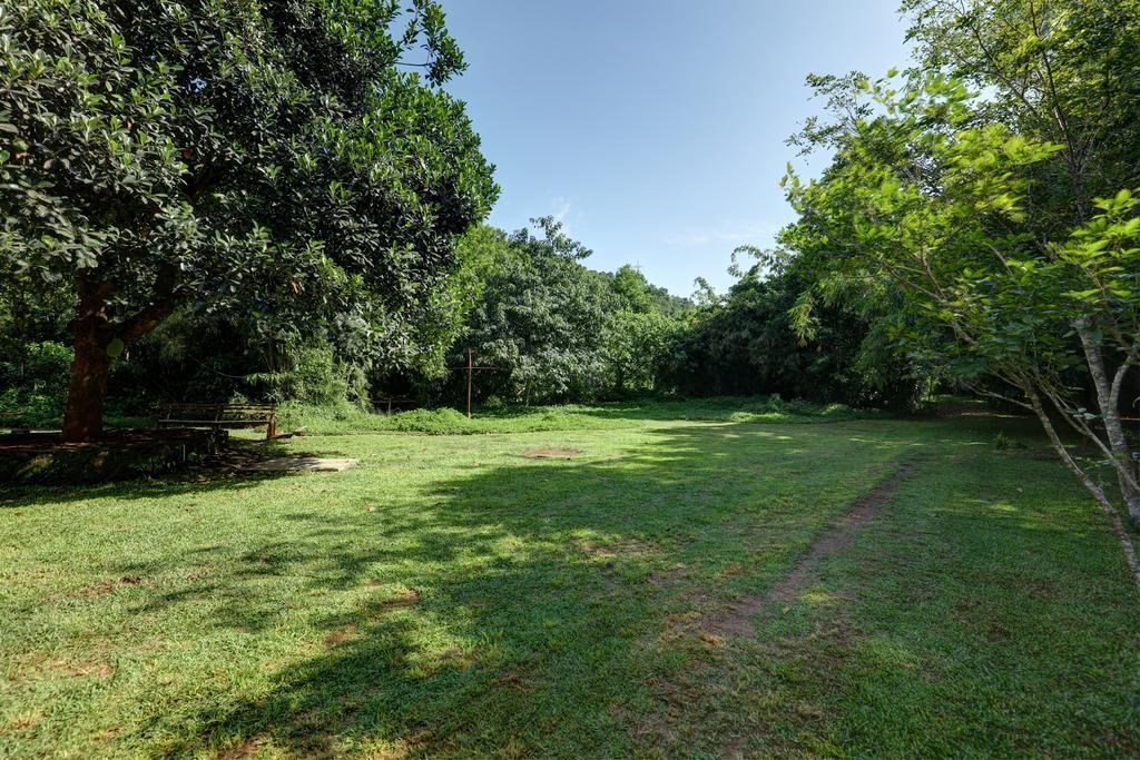 Marg Stream Valley Vythiri Ngoại thất bức ảnh