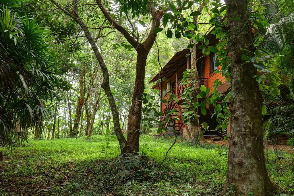 Marg Stream Valley Vythiri Ngoại thất bức ảnh
