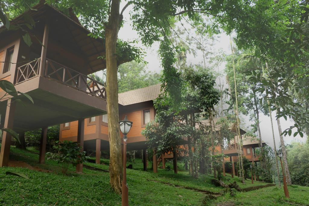 Marg Stream Valley Vythiri Phòng bức ảnh