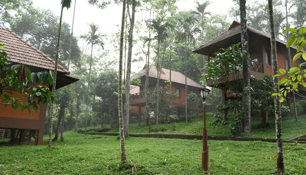 Marg Stream Valley Vythiri Ngoại thất bức ảnh