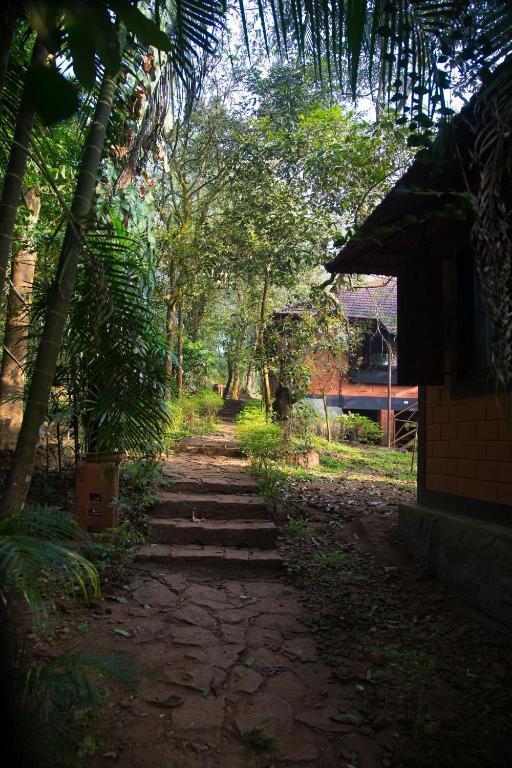 Marg Stream Valley Vythiri Ngoại thất bức ảnh