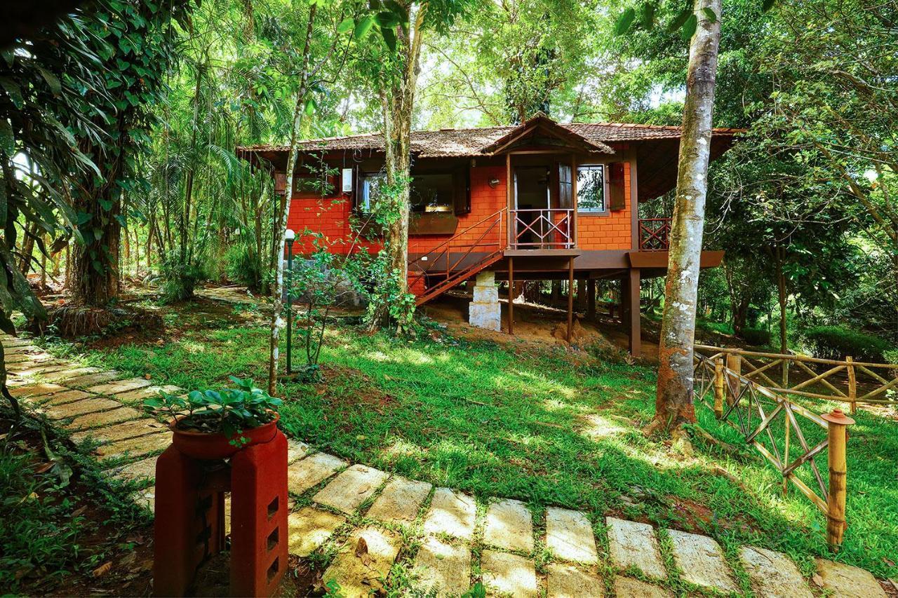 Marg Stream Valley Vythiri Ngoại thất bức ảnh